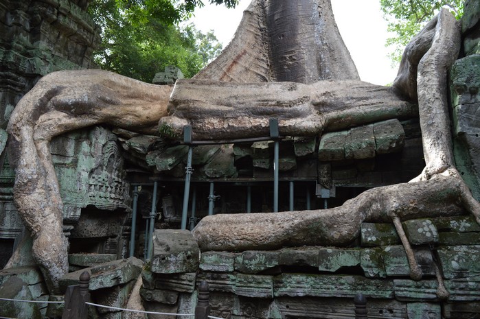 Ta Prohm